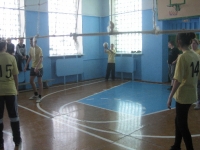 reg-school.ru/tula/volovo/dvorik_school/News/prezidentskie-sostyazaniya-20140212-image007.jpg
